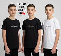 Футболка Amz T4-3 black-white - делук