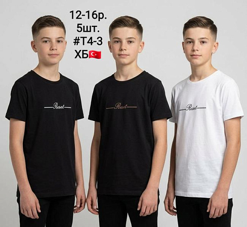 Футболка Amz T4-3 black-white - делук