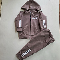 Костюм Спорт Proschenko PR1254 brown - делук
