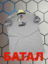 Футболка Alex Clothes 13992 grey - делук