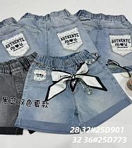 Шорты Delfinka 25D901 grey - делук
