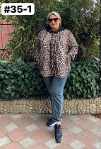 Рубашка Global 35-1 beige - делук