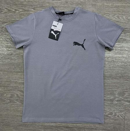 Футболка Mirwear Kids 2024-2 grey - делук