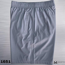 Шорты Azt AZ890-1651 grey - делук