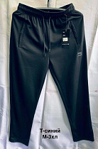 Штаны Спорт Minh MH1094 navy - делук