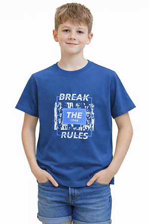 Футболка Sevim SV1310 blue - делук