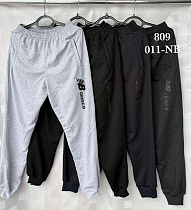 Штаны Спорт Shon 011NB black - делук