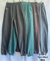 Штаны Спорт Minh 2109-2 mix - делук