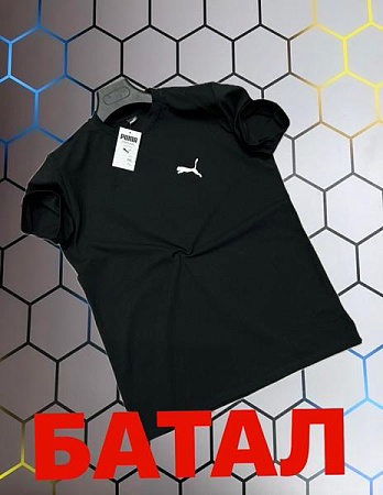 Футболка Alex Clothes 13403 black - делук