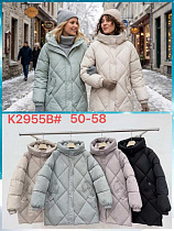 Куртка Dorimodes K2955B powder - делук