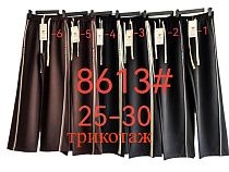 Штаны Спорт Fudeyan 8613-3 black - делук