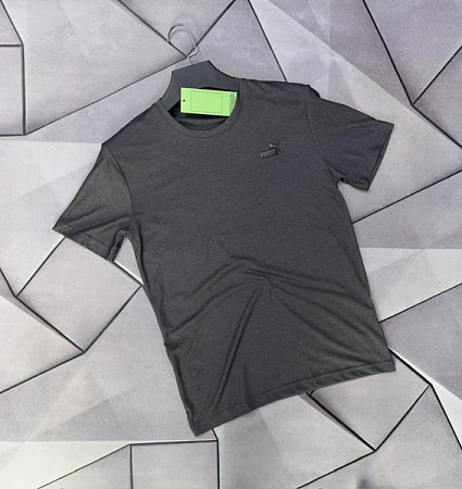 Футболка Rassul 66252 grey - делук