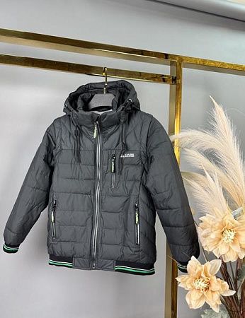 Куртка Delfinka WK31 grey - делук