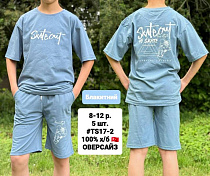 Костюм Amz TS17-2 l.blue - делук