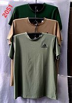 Футболка Van Truong 2051 camel - делук