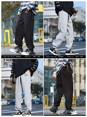 Штаны Спорт Delfinka 02604 grey - делук