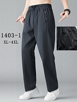 Штаны Спорт Kenalin 1403-1 grey - делук