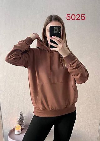 Худи Fsn 5025 brown - делук