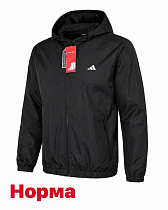 Ветровка Alex Clothes 14873 black - делук