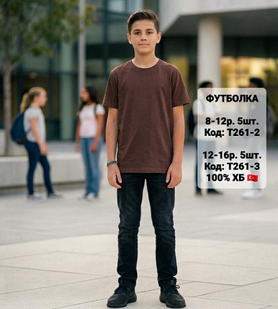 Футболка Ibambino T261-3 brown - делук