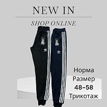 Штаны Спорт Phi Hung P46 black - делук