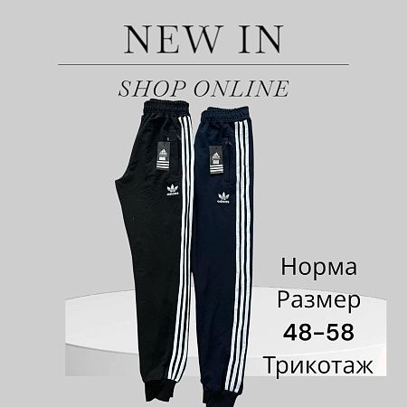 Штаны Спорт Phi Hung P46 black - делук
