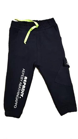 Штаны Спорт Malibu2 M008 navy - делук