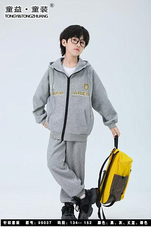 Костюм Спорт Delfinka 99037 grey - делук