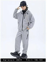 Костюм Спорт Delfinka 26610 grey - делук