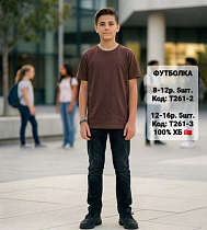 Футболка Ibambino T261-2 brown - делук