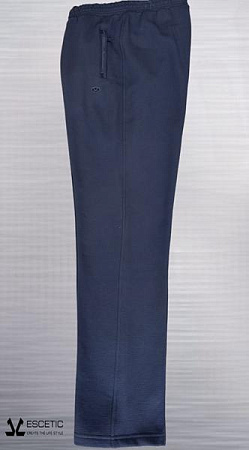 Штаны Спорт Azt AZ294 grey - делук