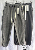 Штаны Спорт Minh 4981 grey - делук
