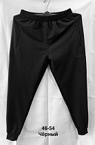 Штаны Спорт Minh MH704 black - делук