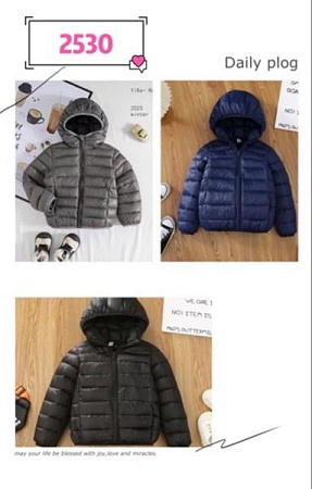 Куртка Farbique 2530 grey - делук