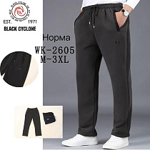 Штаны Спорт Giang G67-2605 grey - делук