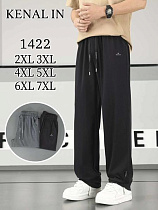 Штаны Спорт Kenalin 1422 black - делук