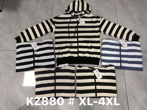 Кофта Спорт P.Hey KZ880 d.beige-black - делук