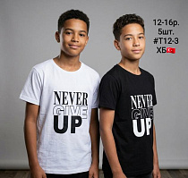 Футболка Amz T12-3 white - делук