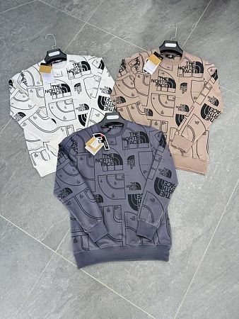 Свитшот F.T.H F217 beige - делук