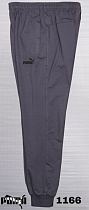 Штаны Спорт Azt AZ391-1166 d.grey - делук