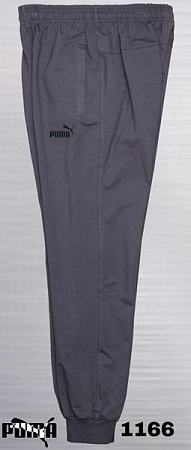 Штаны Спорт Azt AZ391-1166 d.grey - делук