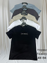 Футболка Hai H1436 white - делук