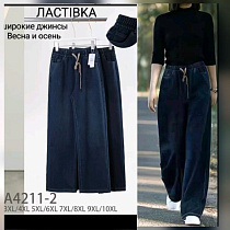 Джинсы Hoan A4211-2 mix - делук