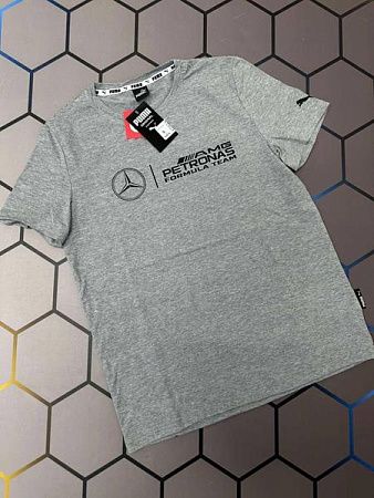 Футболка Alex Clothes 4580 grey - делук
