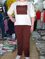 Костюм Julia JL98 brown - делук