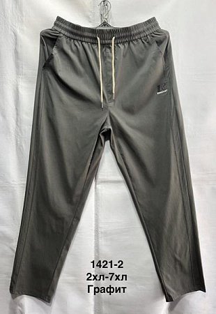 Штаны Спорт Minh 1412-2 grey - делук