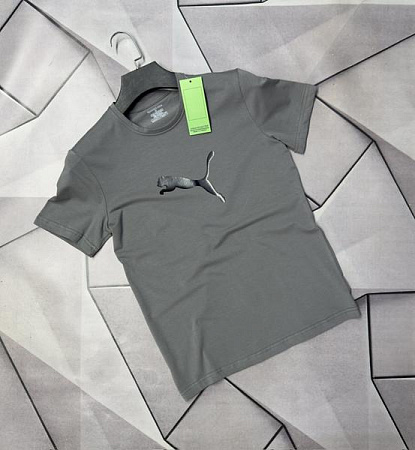 Футболка Rassul 67057 grey - делук