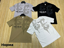 Футболка Navas NW1511 khaki - делук