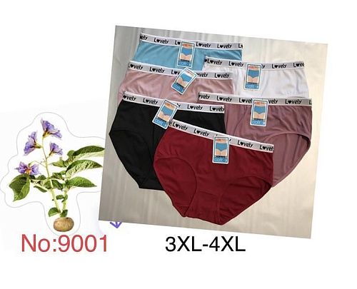 Трусы Redoor Y9001 mix (3XL-4XL) - делук