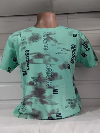 Футболка Panda 1818 mint - делук